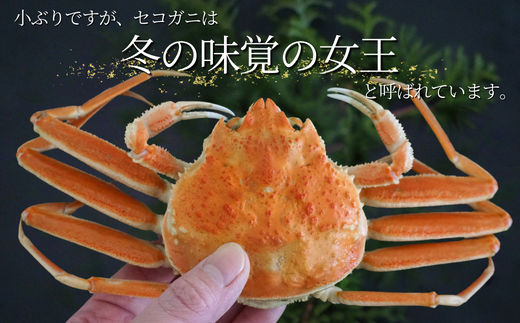 【先行予約】【セコガニ 約120g×6匹 釜茹で 冷凍】R6.11月中旬以降順次発送 濃厚なかにミソとやみつきになる内子、外子が絶品 数量限定 産地直送 鮮度抜群 絶妙の塩加減での茹で上げ 大人気 ふるさと納税 香美町 香住 カニ 松葉ガニ せいこがに メスガニ 親ガニ 日本海フーズ にしとも かに市場 16000円 07-08