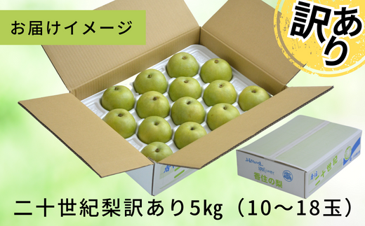 【先行予約】【20世紀梨 ご自宅用 5kg（10～18玉）】サイズバラつき有り（L～5L）傷あり 不揃い ご自宅用 大人気 二十世紀梨 果肉はしっかり シャキシャキの食感 ほどよい甘さとみずみずしさ 日本海に面する梨の本場 兵庫県香美町で育つ「香住梨」糖度を計測して出荷 兵庫県 香美町 フルーツ ナシ 青梨 和梨 ふるさと納税 JAたじま 12000円 12-20