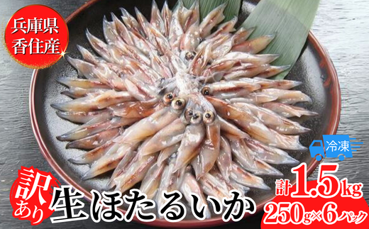 【先行予約】【訳あり ほたるいか 小分け 250g×6パック 1.5kg 香住産 冷凍】令和7年2月下旬以降発送 刺身でも食べられる美味しいホタルイカをぜひ。兵庫県はホタルイカ水揚げ日本一！ ホタルイカ いか 生ほたるいか 便利 兵庫県 香住 日本海 珍味 海鮮 刺し身 生食 しゃぶしゃぶ 醤油漬け お取り寄せ グルメ ギフト ふるさと納税 送料無料 日本海フーズ にしとも かに市場 07-02