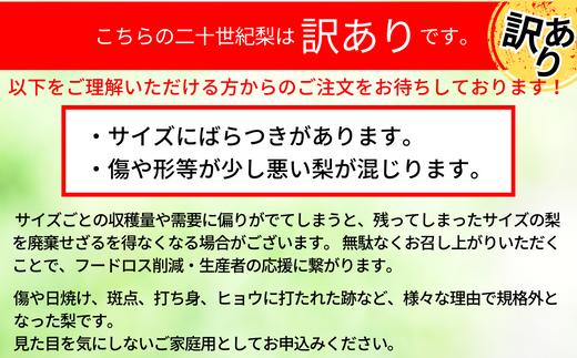 【先行予約】【20世紀梨 ご自宅用 5kg（10～18玉）】サイズバラつき有り（L～5L）傷あり 不揃い ご自宅用 大人気 二十世紀梨 果肉はしっかり シャキシャキの食感 ほどよい甘さとみずみずしさ 日本海に面する梨の本場 兵庫県香美町で育つ「香住梨」糖度を計測して出荷 兵庫県 香美町 フルーツ ナシ 青梨 和梨 ふるさと納税 JAたじま 12000円 12-20