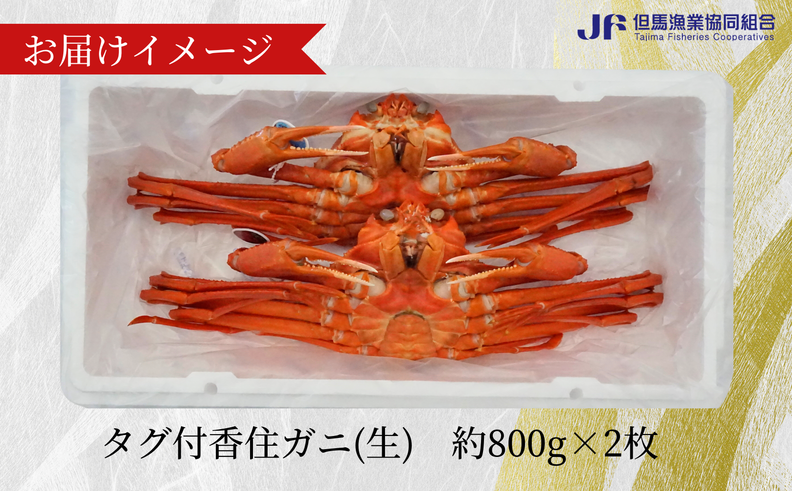 【香住ガニ（生）大 タグ付き 約800g×2枚 冷蔵】漁協から配送日調整の電話が入ります。タグ付きの立派なカニを自信もって提供いたします。関西唯一の水揚げ 大人気 ふるさと納税 甘みが強い 香住カニ 香美町 香住 かに ベニズワイガニ 丸ごと 脚 爪 身 ほぐし むき身 かにすき 鍋 遊魚館 03-07