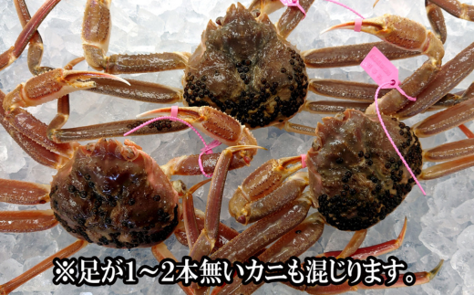 【先行予約】【訳あり 活松葉ガニ 生 3枚（計約1.2～1.5kg）冷蔵】 刺身 しゃぶしゃぶ 焼きガニ 鍋 カニ鍋 かにすき 脚 足 爪 身 肩 ランキング 大人気  兵庫県 香住 柴山 ズワイガニ  かに 宿院商店 53000円 33-26