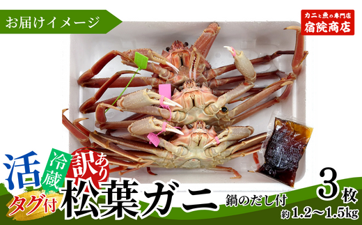 【先行予約】【訳あり 活松葉ガニ 生 3枚（計約1.2～1.5kg）冷蔵】 刺身 しゃぶしゃぶ 焼きガニ 鍋 カニ鍋 かにすき 脚 足 爪 身 肩 ランキング 大人気  兵庫県 香住 柴山 ズワイガニ  かに 宿院商店 53000円 33-26