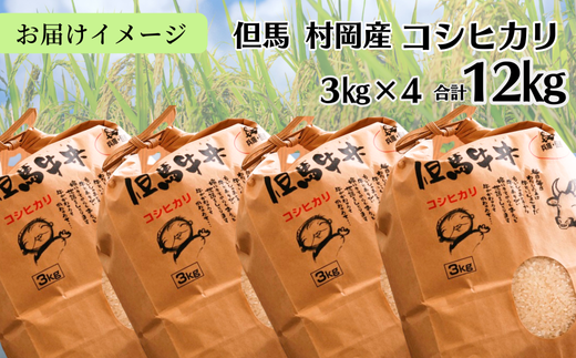 【令和６年産米】【村岡産コシヒカリ3㎏×4袋 合計12kg】コンクールで金賞を受けた日本一のお米 こしひかり 米 精米 37000円 02-12　