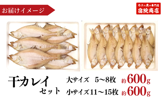 【干物 干カレイセット 合計1.2kg以上（大5～8枚 約600g、小11～15枚 約600g）香住産 冷凍】 ふるさと納税 送料無料 南蛮漬 唐揚げ お酒のお供 日本海 香住港 柴山港 兵庫県 香美町 香住 柴山 宿院商店 12000円 33-13