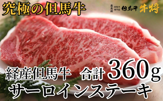 【但馬牛 サーロインステーキ180g×2 合計360g 経産但馬牛 冷凍 産地直送】但馬牛は神戸牛、仙台牛、飛騨牛のルーツ牛牛肉 ステーキ しゃぶしゃぶ すき焼き 焼肉 ブランド 和牛 兵庫県 但馬 神戸 香美町 村岡 牛将 30000円 02-03