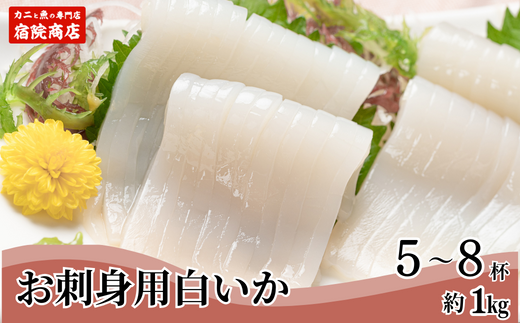 【白いか（剣先いか）お刺身用 新鮮 5～8杯（約1kg）冷凍】鮮度抜群 急速冷凍 栄養をキープ 大人気 ふるさと納税 送料無料 産地直送 香美町 香住 兵庫県 日本海 国産 刺身 イカ焼き イカフライ 煮つけ 宿院商店 19000円 33-07