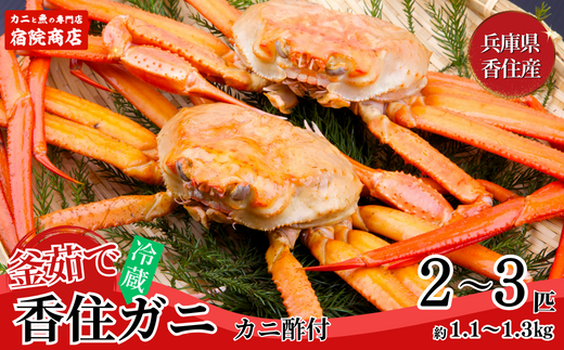 【兵庫県香住産 釜茹で香住ガニ（紅ズワイガニ）2～3匹】9月中旬以降順次発送予定 冷蔵 香住港で水揚げ 新鮮な香住ガニ 絶妙な塩加減で茹で上げ ミネラル豊富な海洋深層水域で育ったカニ 甘みがあってとても美味しい 関西では「香住港」だけしか水揚げを許可されていない特産品 足が1～2本折れたカニが混ざる場合がございます かに 日本海 香美町 宿院商店 22500円 33-21　