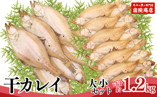 【干物 干カレイセット 合計1.2kg以上（大5～8枚 約600g、小11～15枚 約600g）香住産 冷凍】 ふるさと納税 送料無料 南蛮漬 唐揚げ お酒のお供 日本海 香住港 柴山港 兵庫県 香美町 香住 柴山 宿院商店 12000円 33-13