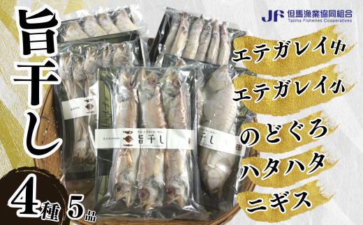 【旨干し4種5品セット】エテカレイ のどぐろ はたはた ニギス 干物 32000円 03-12