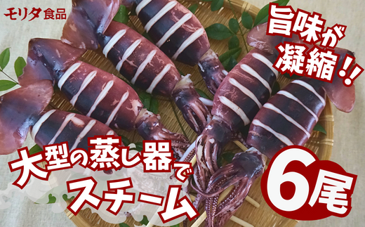 串イカ 6尾入り（約100g～130g×6尾）冷凍 新鮮 旨味凝縮イカ焼き 食べ応え抜群 いか 串 スチーム 蒸しイカ バーベキュー 焼肉 鉄板焼き BBQ キャンプ 国産 兵庫県 香美町 香住 香住漁港 10000円 一万円 モリタ食品 10-10