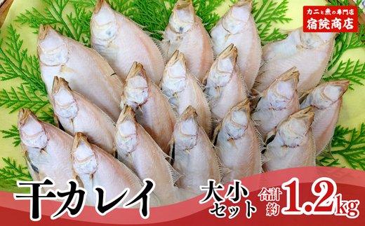 【干物 干カレイセット 合計1.2kg以上（大5～8枚 約600g、小11～15枚 約600g）香住産 冷凍】 ふるさと納税 送料無料 南蛮漬 唐揚げ お酒のお供 日本海 香住港 柴山港 兵庫県 香美町 香住 柴山 宿院商店 12000円 33-13