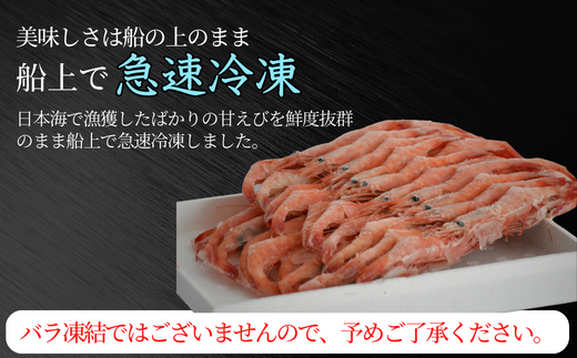 【甘えび 刺身用 (30～40尾) 約700g 兵庫県香住産 冷凍 】船内急速冷凍 鮮度抜群 大人気 ふるさと納税 送料無料 香美町 香住 柴山 刺身 唐揚げ 味噌汁 海鮮丼 エビ 宿院商店 14000円 33-04