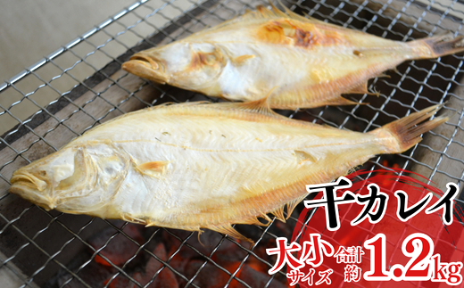 【干物 干カレイセット 合計1.2kg以上（大5～8枚 約600g、小11～15枚 約600g）香住産 冷凍】 ふるさと納税 送料無料 南蛮漬 唐揚げ お酒のお供 日本海 香住港 柴山港 兵庫県 香美町 香住 柴山 宿院商店 12000円 33-13