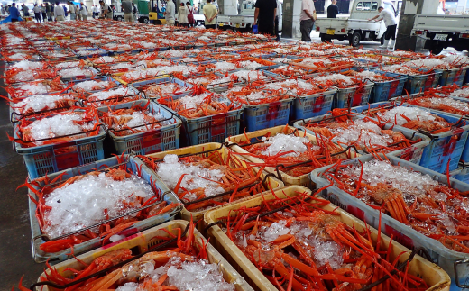 【本場香住漁港であがった！香住ガニセット4匹入り 三七十特製カニ味噌1本付き】令和6年9月中旬以降順次発送 本場 香住産 厳選 茹で香住ガニ姿 鮮度抜群 釜茹で ふるさと納税 香美町 香住 ゆでガニ むき身 足 爪 かにすき 45000円 05-09