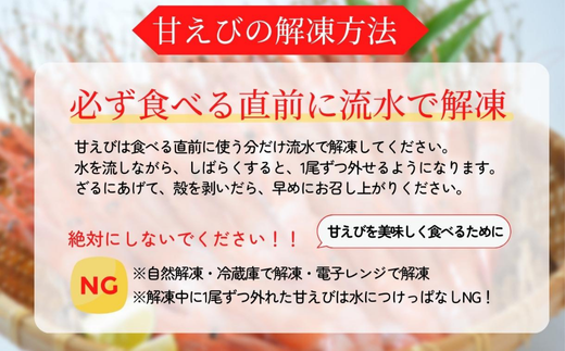 【紅白エビセット 甘エビ500g 白エビ500g】 日本海で水揚げされた鮮度抜群の甘えびを船内で急速冷凍しました。短時間で急速冷凍 細胞を壊さず、食品の美味しさをキープ 産地直送 香美町 香住 山陰 国産 刺身 塩焼き 海鮮 24000円 04-02