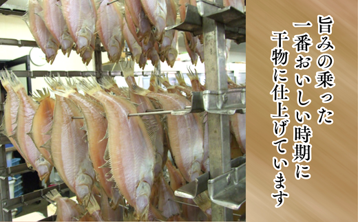 【干物 干カレイセット 合計1.2kg以上（大5～8枚 約600g、小11～15枚 約600g）香住産 冷凍】 ふるさと納税 送料無料 南蛮漬 唐揚げ お酒のお供 日本海 香住港 柴山港 兵庫県 香美町 香住 柴山 宿院商店 12000円 33-13