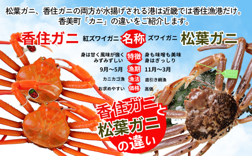 【本場香住漁港であがった！香住ガニセット8匹入り 三七十特製カニ味噌2本付 】令和6年9月中旬以降順次発送 本場 香住産 厳選 茹で香住ガニ姿 鮮度抜群 釜茹で ふるさと納税 香美町 香住 ゆでガニ むき身 足 爪 かにすき 74000円 05-11