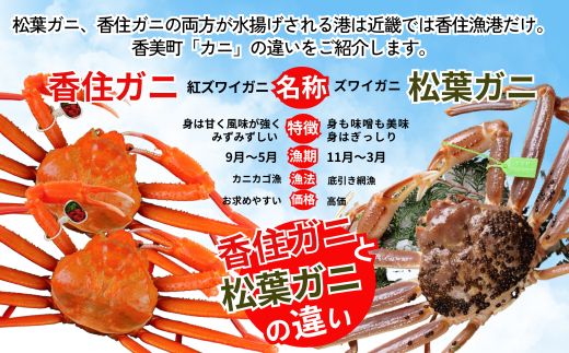 【本場香住漁港であがった！香住ガニセット8匹入り 三七十特製カニ味噌3本付 】9月中旬以降順次発送 本場 香住産 厳選 茹で香住ガニ姿 鮮度抜群 釜茹で ふるさと納税 香美町 香住 かに ゆでガニ むき身 足 爪 かにすき 76000円 05-06