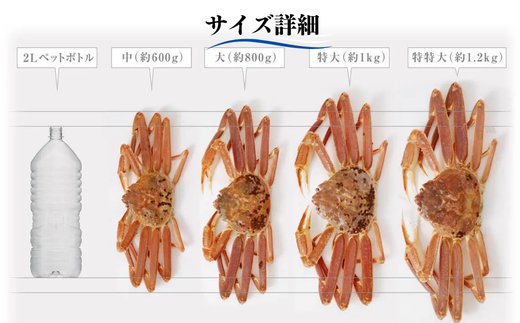 【先行予約】【柴山ガニ タグ付き カネニの浜茹で （ボイル 高級柴山がに タグ付き 茹で 重量：1.0kg以上 冷蔵でお届け）】 高級 ふるさと納税 かにすき 焼きガニ カニ ボイル 兵庫県 香美町 香住 柴山 カネニ 180000円 06-02