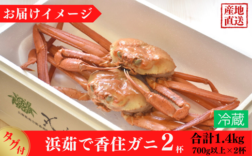 【タグ付き 浜茹で 香住ガニ 冷蔵】 700g以上×2杯 合計1.4kg以上高級香住ガニで 産地直送 香住カニ 香美町 かに 海鮮 ベニズワイガニ ゆで蟹 丸ごと ボイル 脚 爪 身 ほぐし むき身 かにすき しゃぶ 鍋 丸近 32500円 19-13