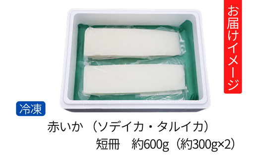 【赤いか アカイカ（ソデイカ・タルイカ）短冊 兵庫県香住産 約600g（約300g✕2）冷凍 】入金確認後順次発送  兵庫県 香美町 香住 日本海 刺身 海鮮 ふるさと納税 10000円 一万円 以下 日本海フーズ にしとも かに市場 07-116