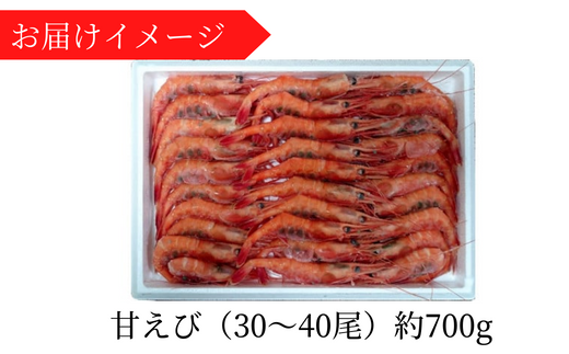 【甘えび 刺身用 (30～40尾) 約700g 兵庫県香住産 冷凍 】船内急速冷凍 鮮度抜群 大人気 ふるさと納税 送料無料 香美町 香住 柴山 刺身 唐揚げ 味噌汁 海鮮丼 エビ 宿院商店 14000円 33-04