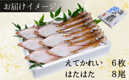 【干物 えてかれい、はたはたセット エテカレイ6枚 ハタハタ8尾 干物の本場 香住産 冷凍】いずれも脂のりの良い旬の時期のものだけを厳選して一夜干ししました。伝統の「まぶり塩」ふるさと納税 大人気 香美町  柴山 山陰 蔵平水産 13000円 08-01