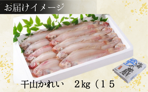 【干物 甘干し山かれい2kg（15枚入り）干物の本場 香住産 冷凍】唐揚げに最適で、ポン酢との相性は抜群です。 素材の良さ抜群 伝統の技術 兵庫県 香美町 香住 柴山 大人気 ふるさと納税 蔵平水産 16500円 08-06