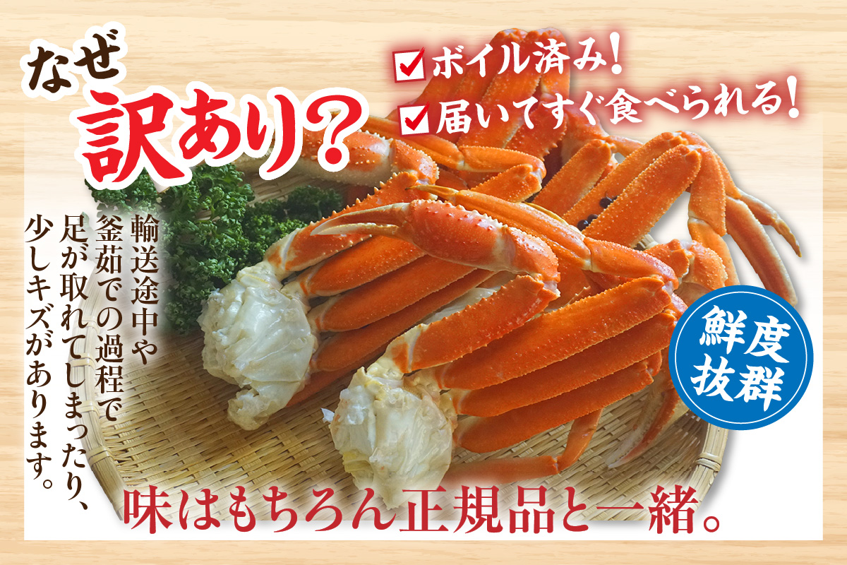 【訳あり 釜茹で 本ズワイガニ 2L 4肩 約1kg 冷蔵】ずわいがに カニ かに 蟹 チルド 蟹 カニ足 かに足 脚 肩 しゃぶしゃぶ かにすき かに鍋 ボイル ズワイガニ ずわい蟹 ズワイ蟹 カニ脚 蟹脚 ずわい ズワイ 海鮮 魚介類 ご褒美 ごちそう 兵庫県 香美町 香住 日本海フーズ 07-119