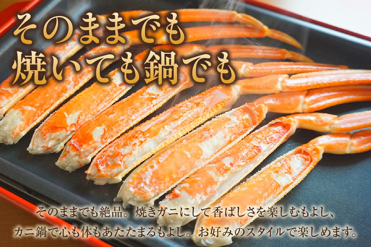 【訳あり 釜茹で 本ズワイガニ 2L 4肩 約1kg 冷蔵】ずわいがに カニ かに 蟹 チルド 蟹 カニ足 かに足 脚 肩 しゃぶしゃぶ かにすき かに鍋 ボイル ズワイガニ ずわい蟹 ズワイ蟹 カニ脚 蟹脚 ずわい ズワイ 海鮮 魚介類 ご褒美 ごちそう 兵庫県 香美町 香住 日本海フーズ 07-119