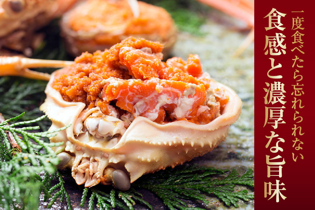 【セコガニ 釜茹で 甲羅盛り 約70～80g（甲羅含む）×2個 総量140g以上 冷凍】TVで紹介 日本テレビ カンテレ 内子 外子 蟹身 かにみそ 海鮮 かに カニ 蟹 松葉がに メス せこがに 大人気 おすすめ 兵庫県 香美町 日本海フーズ KRM SKG 12000円 07-115