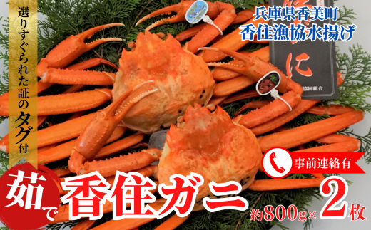【香住ガニ（ボイル）大 タグ付き 約800g×2枚 冷蔵】タグ付き 立派 カニ 甘み 強い かに カニ 蟹 香住がに 紅ずわいがに ベニズワイガニ 脚 爪 身 ほぐし むき身 かにすき 鍋 大人気 ふるさと納税 おすすめ 兵庫 香美 香住 遊魚館 50000円 03-08