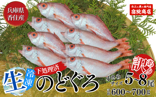 【訳あり のどぐろ 生冷凍 調理済 少し小さめ（1匹80～100g前後）内容量：約600g～700g 冷凍 兵庫県香住産】ご入金確認後、順次発送予定 サイズ不揃い 少し小さめ 日本海で水揚げ 鮮度抜群、脂乗りの良いノドグロを急速冷凍 細胞を壊さず、食品の美味しさをキープ 白身のトロ 産地直送 兵庫県 香美町 香住 柴山 山陰 大人気 ふるさと納税 送料無料 宿院商店 14000円 33-14