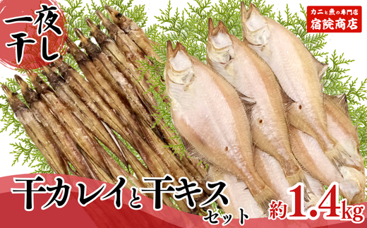 【一夜干し 干カレイと干キスセット】山陰沖で水揚げ 干物 ひもの 海産物 海鮮 魚介 焼いたり 空揚げ お酒のお供 ご飯のお供 送料無料 日本海 香住海岸 香住港 柴山港 兵庫県 香美町 香住 ふるさと納税 宿院商店 12000円 33-12