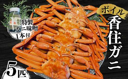 【本場香住漁港であがった！香住ガニセット5匹入り 三七十特製カニ味噌1本付 冷蔵/冷凍】カニの本場 香住産 厳選 茹で香住ガニ姿5杯入り 鮮度抜群 水揚げされたばかりの香住ガニを熟練の職人が釜茹でします かに 蟹 カニ ゆでガニ むき身 足 爪 かにすき かに鍋 兵庫県 香美町 香住 三七十 05-10