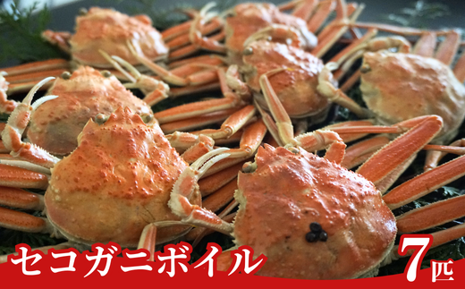 【訳あり セコガニボイル（冷凍）7匹】カニ かに 蟹 松葉がに 松葉ガニ せこがに せいこがに メスガニ 外子 内子 卵 カニ味噌 濃厚 急速冷凍 浜茹 数量限定 産地直送 鮮度抜群 大人気 リピーター続出 やみつき 香美町 香住 柴山 国産 04-06