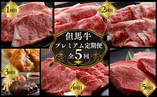 【但馬牛肉プレミアム定期便（計5回）】※月に1回お届け 配送日指定不可 黒毛和牛 ルーツ 香美町 産地直送 セット 国産 牛肉 ステーキ しゃぶしゃぶ すき焼き バーベキュー キャンプ 焼肉 和牛 ふるさと納税 おすすめ 返礼品 但馬 神戸 兵庫県 香美町 村岡 牛将 村岡ファームガーデン 260000円 02-30