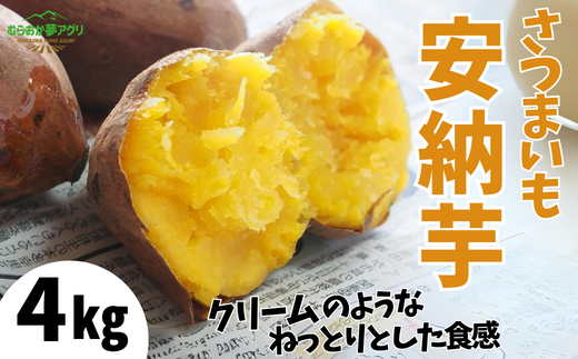 【先行予約】【さつまいも 安納芋 4kg】10月から12月にかけて発送予定 農薬不使用 農薬不使用 あんのう芋 サツマイモ イモ いも クリーム ねっとり 野菜 兵庫県 香美町 村岡 むらおか夢アグリ 13000円 41-13