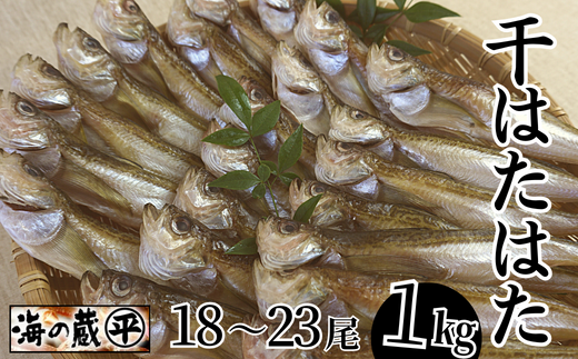 【干物 干ハタハタ 1kg 干物の本場 香住産 冷凍】発送目安：入金確認後、順次発送いたします。脂がのった旬のハタハタを丁寧に処理し、塩と氷を直接ふりかけ桶で一晩漬け込んだ「まぶり塩製法」により干し上げました。表面だけでなく魚の中心まで均一に塩が効いています。伝統の技術 素材の良さ抜群 兵庫県 香美町 香住 柴山 大人気 ふるさと納税 蔵平水産 14000円 08-08　