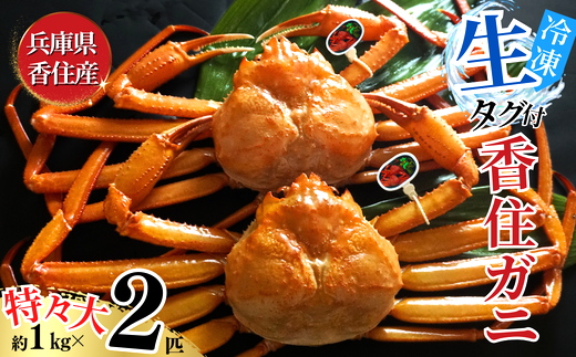 【活〆 タグ付き 香住ガニ 特々大 約1.0kg×2匹（合計約2.0kg以上）冷凍】【令和8年2月中旬以降発送予定】 大人気 返礼品 おすすめ ランキング 国産 カニ かに 蟹 本場 香住 急速冷凍 ベニズワイガニ しゃぶしゃぶ 刺身 かにすき 焼きガニ ふるさと納税 兵庫県 香美町 日本海フーズ 40000円 KMG 07-114