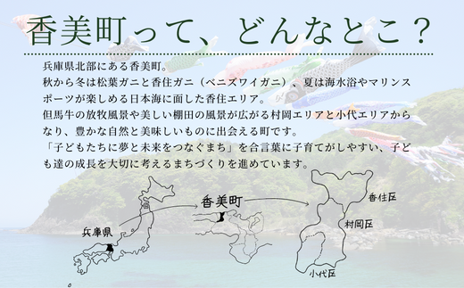 【返礼品なし】兵庫県香美町 ふるさとづくり寄附金（4,000円分）4000 4000円 四千円 以下 25-36