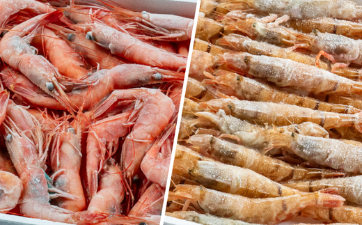 縲千エ逋ス繧ィ繝薙そ繝繝 逕倥お繝500g 逋ス繧ィ繝500g縲 譌・譛ャ豬キ縺ァ豌エ謠壹£縺輔l縺滄ョョ蠎ヲ謚懃セ、縺ョ逕倥∴縺ウ繧定飴蜀縺ァ諤・騾溷キ蜃阪@縺セ縺励◆縲ら洒譎る俣縺ァ諤・騾溷キ蜃 邏ー閭槭r螢翫&縺壹鬟溷刀縺ョ鄒主袖縺励&繧偵く繝シ繝 逕」蝨ー逶エ騾 鬥咏セ守伴 鬥吩ス 螻ア髯ー 蝗ス逕」 蛻コ霄ォ 蝪ゥ辟シ縺 豬キ魄ョ 28,000蜀 04-02