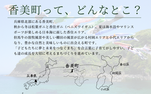 【返礼品なし】兵庫県香美町 ふるさとづくり寄附金（60,000円分）60000 60000円 六万円 25-48