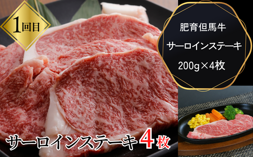 【但馬牛肉プレミアム定期便（計5回）】※月に1回お届け 配送日指定不可 黒毛和牛 ルーツ 香美町 産地直送 セット 国産 牛肉 ステーキ しゃぶしゃぶ すき焼き バーベキュー キャンプ 焼肉 和牛 ふるさと納税 おすすめ 返礼品 但馬 神戸 兵庫県 香美町 村岡 牛将 村岡ファームガーデン 02-30