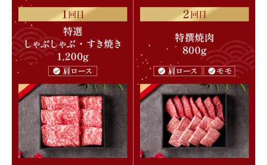 神戸牛 定期便「ファーストクラス」（定期便全6回 総量5600g）冷凍発送 ふるさと納税で贈る至福の味わい！自慢の神戸牛をご自宅で堪能しませんか？ 大人気 しゃぶしゃぶ すき焼き 焼肉 ステーキ 特選 キャンプ バーベキュー 年末年始 お盆 パーティー ごちそう 和牛 国産 熱田 神戸BEEF 神戸ビーフ 但馬牛 但馬 神戸 兵庫県 香美町 香住 村岡 小代 和牛セレブ 500000円 58-25