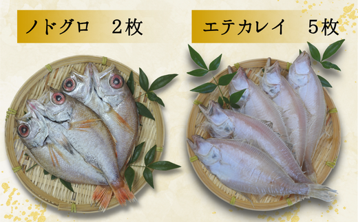 【干物 日本海一夜干しセット ノドグロ2枚、エテカレイ5枚、ハタハタ7尾、スルメイカ2枚 干物の本場 香住産 冷凍】日本海の旬の干物が大集合です。伝統の技術 素材の良さ抜群 兵庫県 香美町  柴山 大人気 ふるさと納税 蔵平水産 27500円 08-05