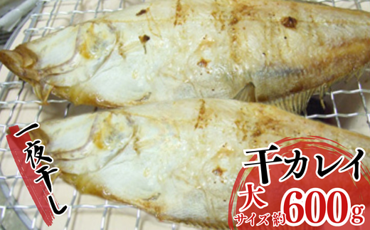 【一夜干し 干カレイと干キスセット】山陰沖で水揚げ 干物 ひもの 海産物 海鮮 魚介 焼いたり 空揚げ お酒のお供 ご飯のお供 送料無料 日本海 香住海岸 香住港 柴山港 兵庫県 香美町 香住 ふるさと納税 宿院商店 12000円 33-12