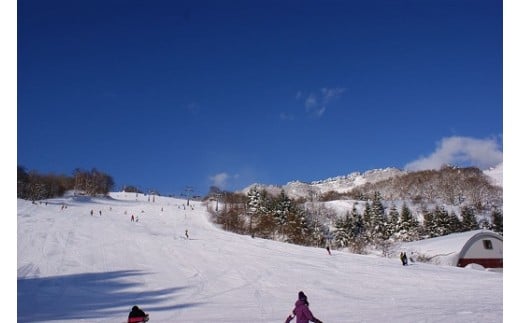 【ハチ北スキー場 リフト 1日券】（大人用 中学生以上60歳未満）1枚 ハチ高原 ハチ北高原 共通リフト券 関西最大級のスキー場です。抜群の展望を楽しみながら一気に4000mを滑り降りるロングコース バリエーション豊かな25コース 有効期限 2024/25シーズン終了まで ハチ高原スキー場との共通券 兵庫県 香美町 村岡 ハチ北スキー場 26-01