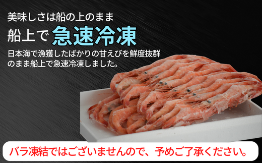 【船内冷凍 甘えび（あかえび）中サイズ40匹入り 】 700ｇ前後 冷凍 兵庫県香住産 日本海で水揚げされた鮮度抜群の甘えびを船内で急速冷凍しました。短時間で急速冷凍 細胞を壊さず、食品の美味しさをキープ 産地直送 香美町 香住 山陰 国産 刺身 海鮮 魚や HARATOKU 14000円 56-02